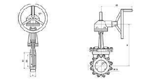 6364090873298420665574445 6364090873298420665574445